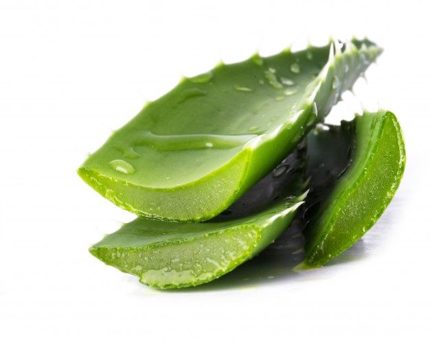 Alovera Plant