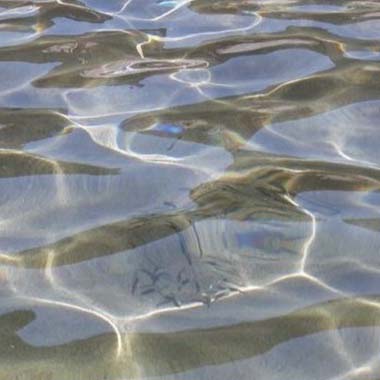 Hydration Image